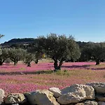 Villa Alyki Sea View Paros