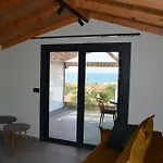 Rastoni Rqd 5