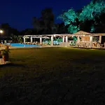 Amelia\'S Garden I