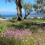 Olive Grove Cottage - Excellent View