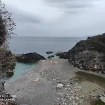 Flower Paradise