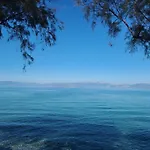 An Oasis By The Beach