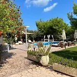 Iguana Villa