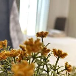 Dream Villas Paros 1 Ολόκληρος Χώρος Με Πισίνα