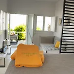 Lemon Tree Houses