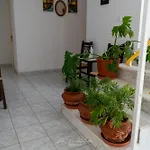 Alina Classic Hotel
