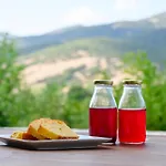 Kalavrita Botanica Hotel & Spa