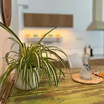 Notus Suites