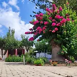 Mediterranean House With Beautiful Garden