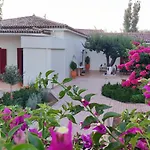 Mediterranean House With Beautiful Garden