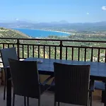Carnation - Morfi Village