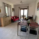 Carnation - Morfi Village