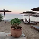 Tramonto Nel Delfini