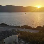 Pandaisia Φούρνοι Κορσεων