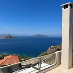 Chrysiis View