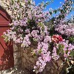 Alico Villa Zakynthos
