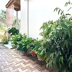 My Green Villa
