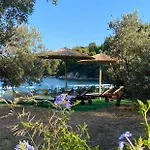 Actaea Villa