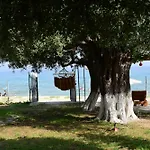 Evans Beach House