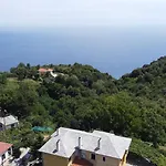 Olga Studios