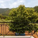 Evergreen Thassos