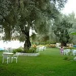 Vaya