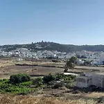 Elzahed Maestro
