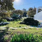 The Blue House