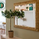 Oikia Eleanthi - Beachfront Garden Home!
