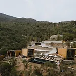 Five Olive Dream Trip