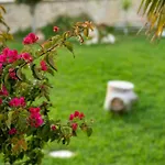Grand Villa Katerina