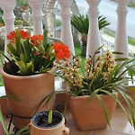 Amaryllis House
