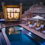 Five Olive Dream Trip