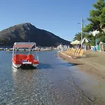 Dolfin