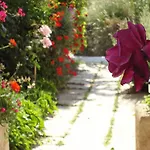 Creta Sun Hotel Studios