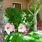 Sun Rise Hotel Apartments