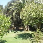 Livadi Apartments