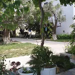Pelagia