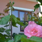 Melina\'S House