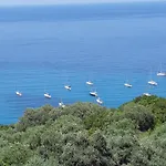 Αrilla Studios