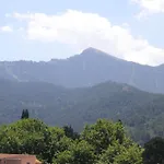 Danae Hotel