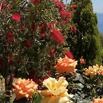 Cozy Apollon Villa, Sea View, Next To Galaxidi