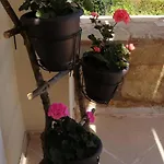 Cozy Apollon Villa, Sea View, Next To Galaxidi