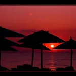 Hotel White Rose Beach