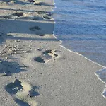 Hotel White Rose Beach