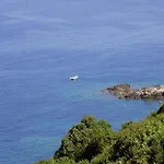 Korali