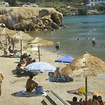 Palatino