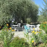 Asterias Studios