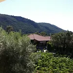 Eleana Studios
