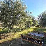 Alivia Garden